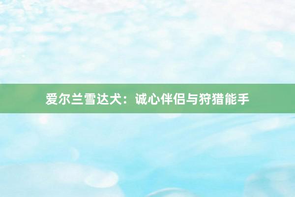 爱尔兰雪达犬:诚心伴侣与狩猎能手